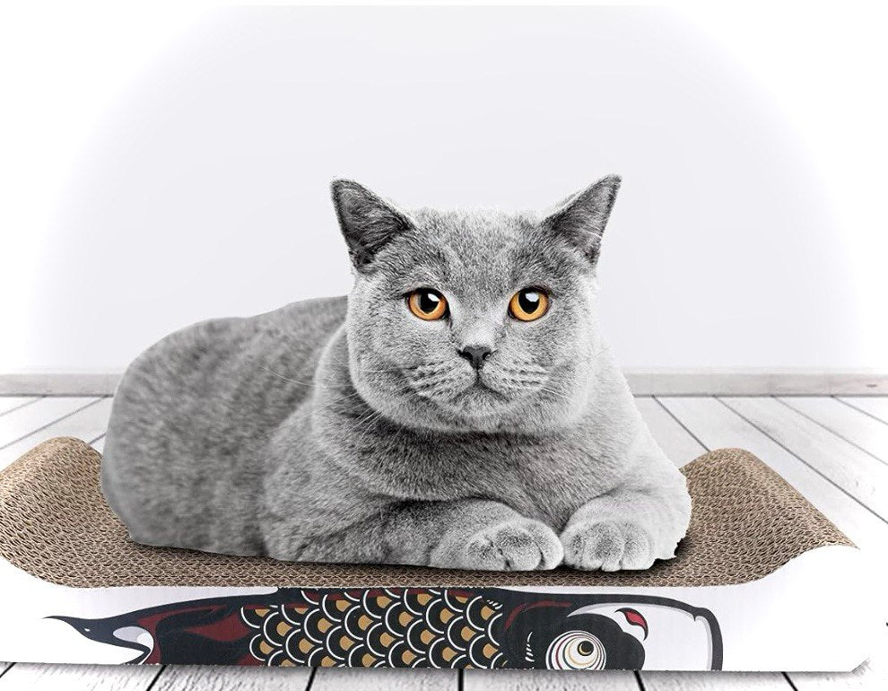 Königliche Kratzmatte