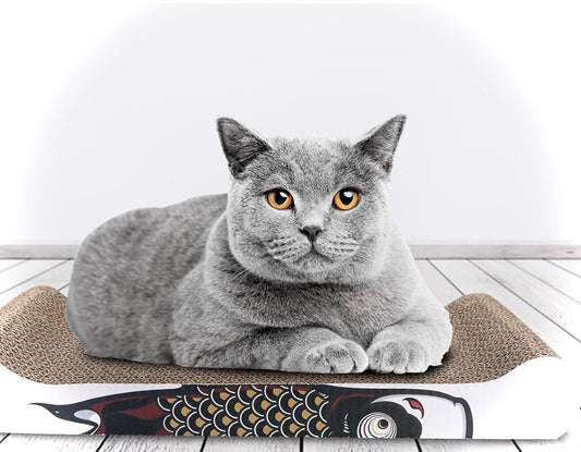 Königliche Kratzmatte